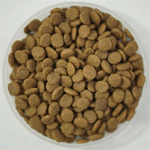 productcate-500-500 productcate-500-500
