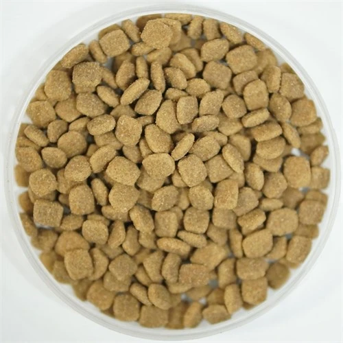 productcate-500-500 productcate-500-500
