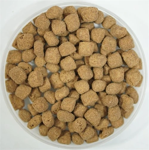 productcate-500-503 productcate-500-503